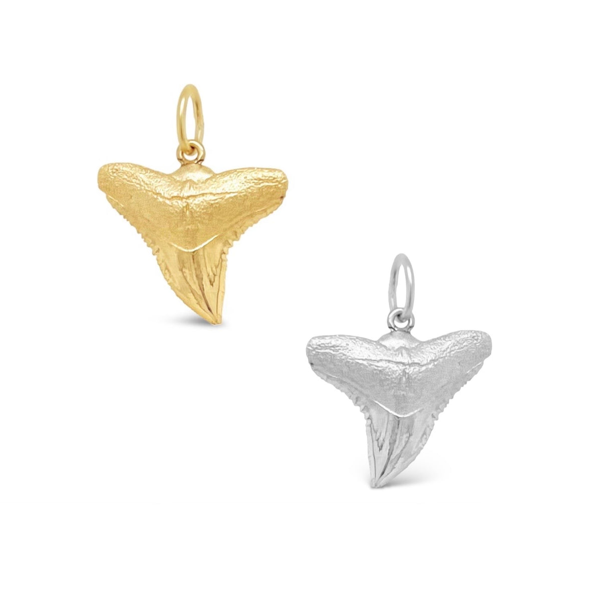 Shark Tooth Charm – CJ Inc.