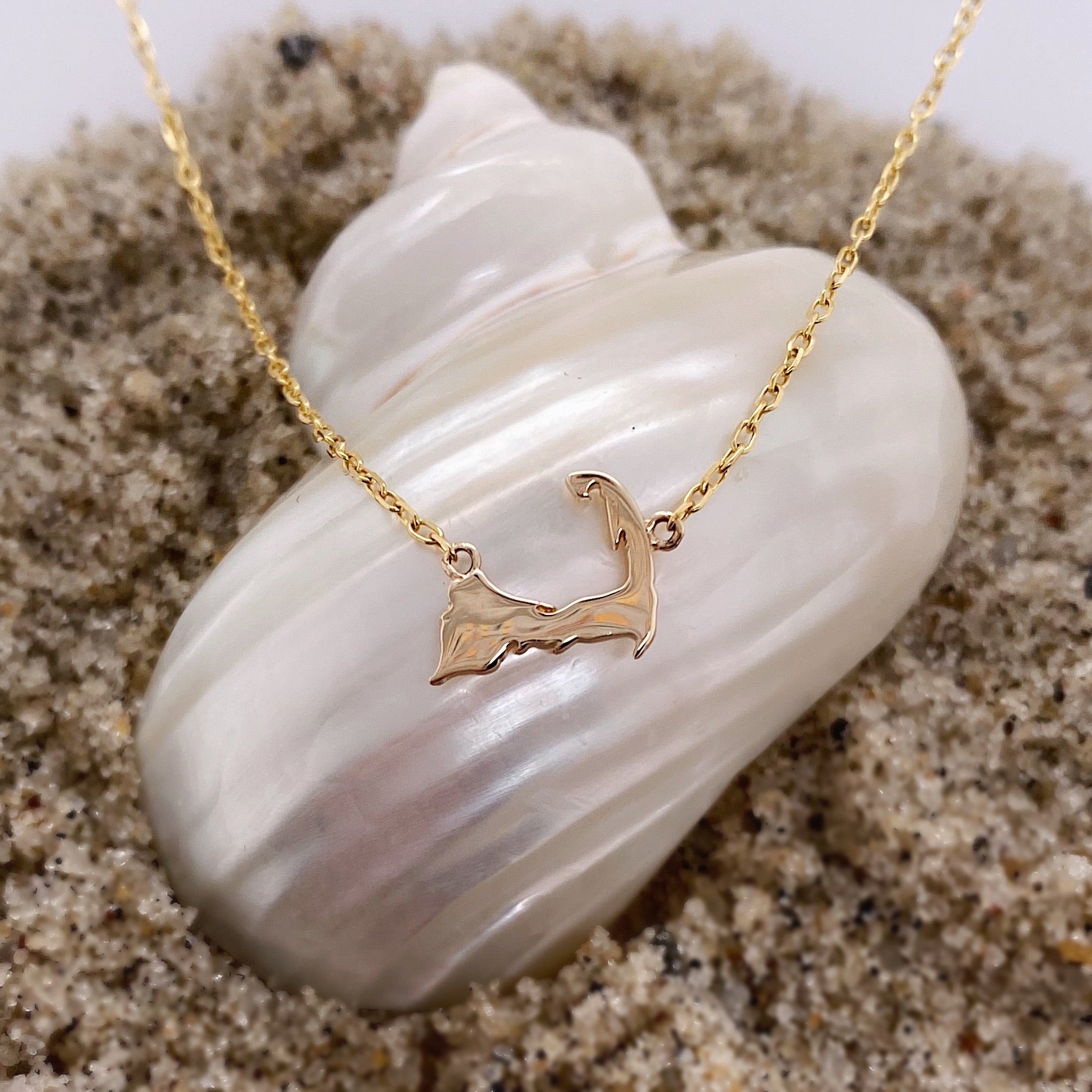 Tiny Cape Cod Map Necklace – CJ - Main Image